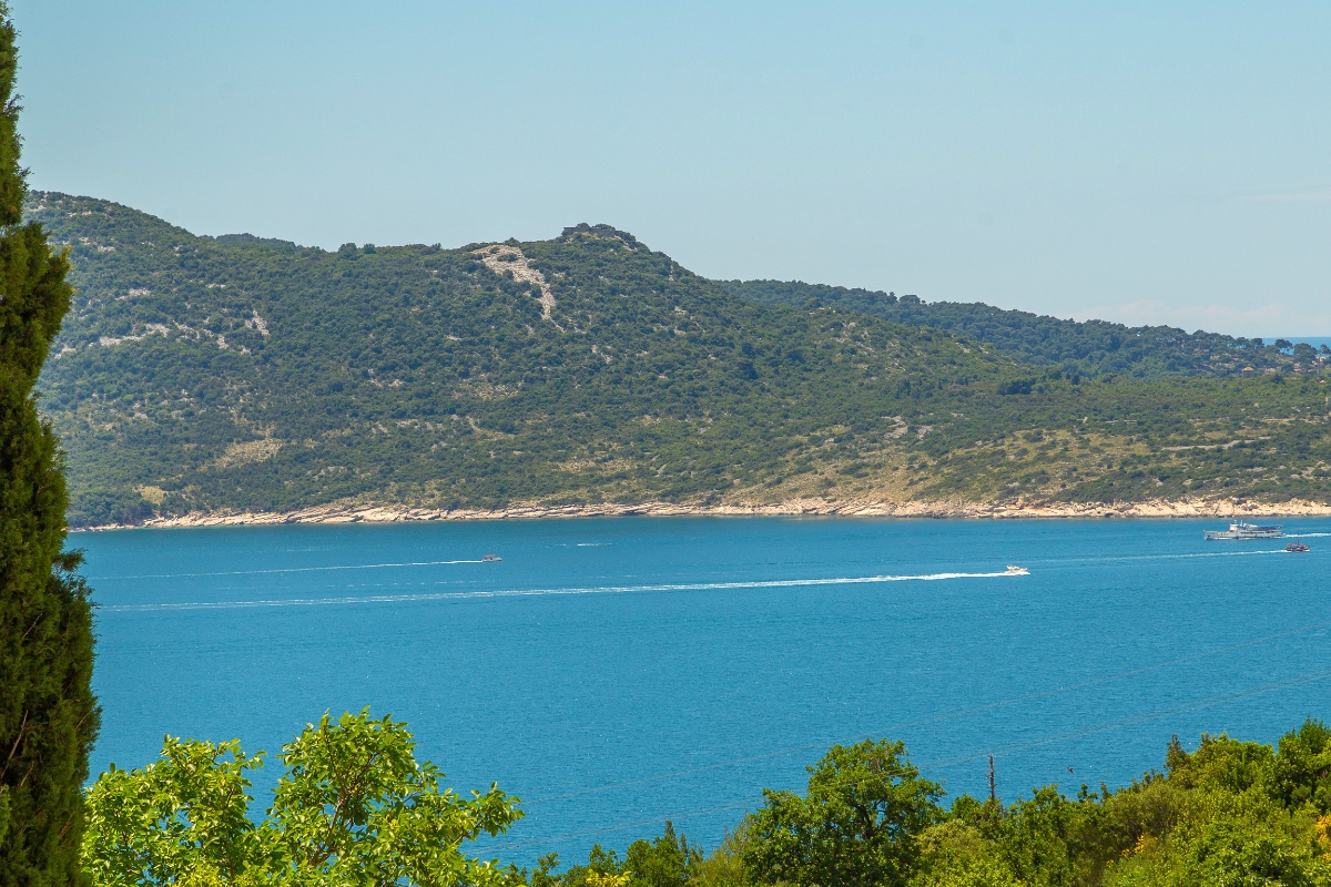 Summer Chill Apartment 3