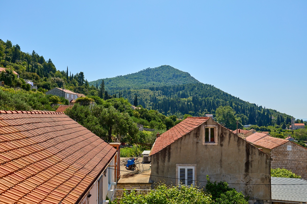 Summer Chill Apartment 3