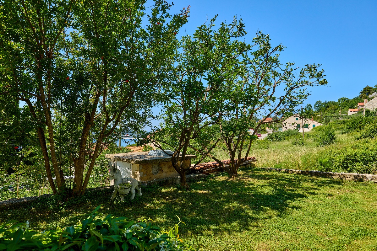 Summer Chill Apartment 3