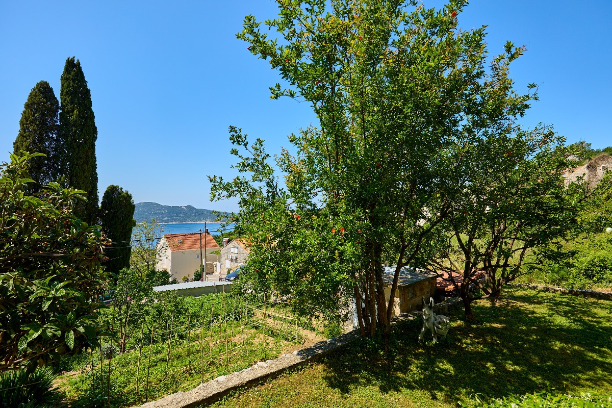 Summer Chill Apartment 3