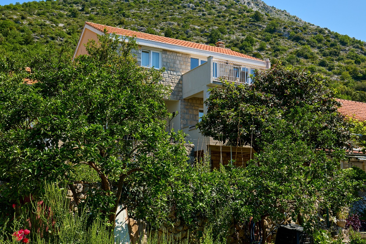 Summer Chill Apartment 3