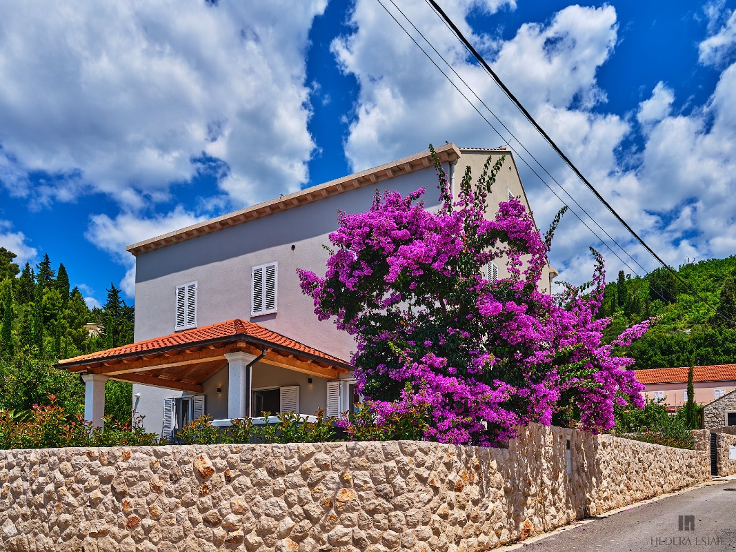 House Hedera III