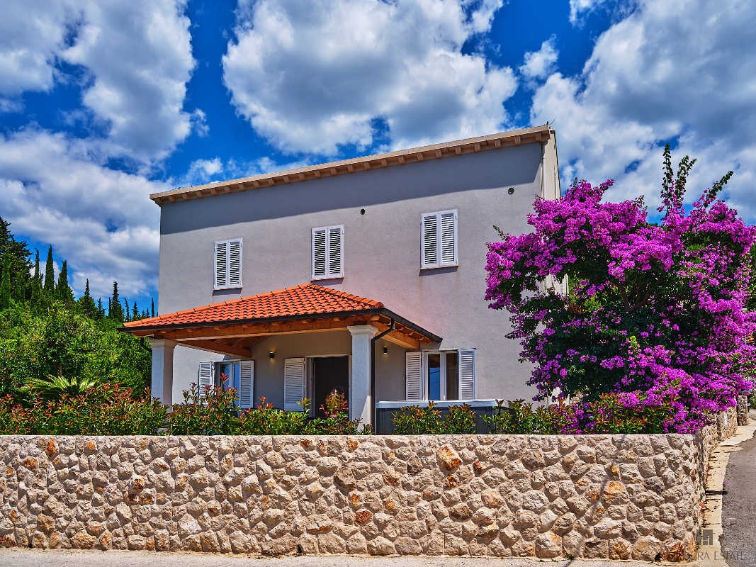House Hedera III