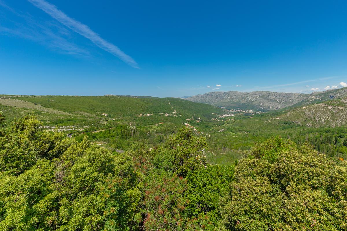 Green Hills Apartment